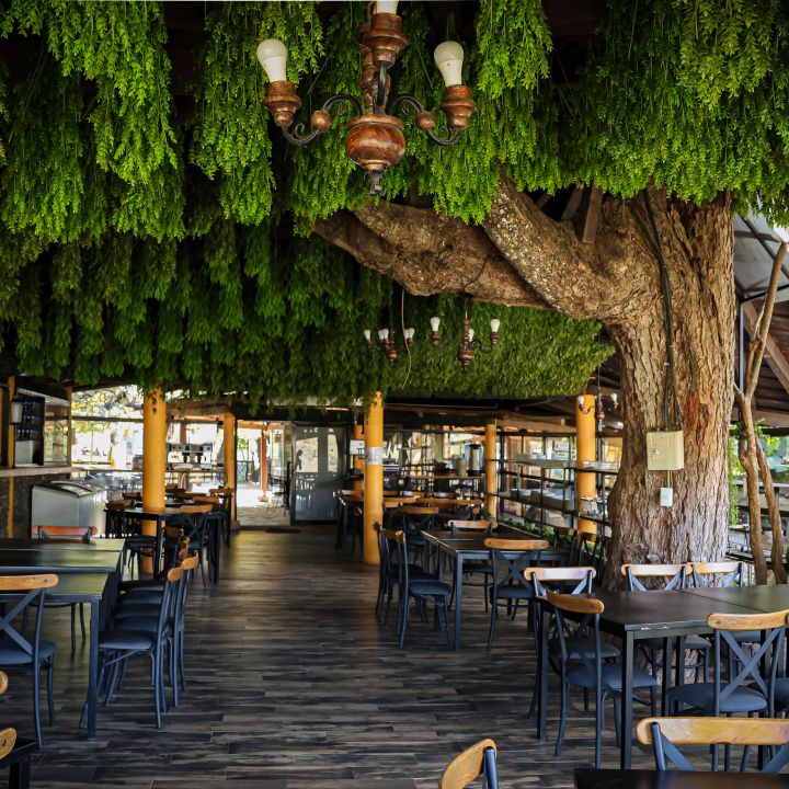 Restaurante Mundo Aventura